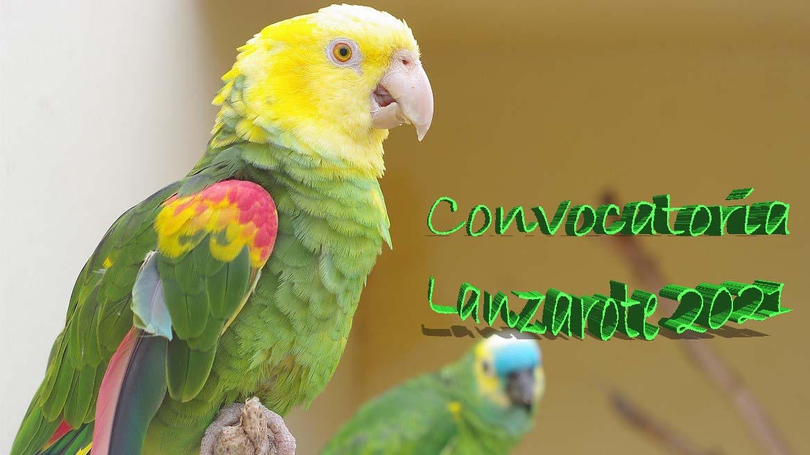 Convocatoria Lanzarote 2021