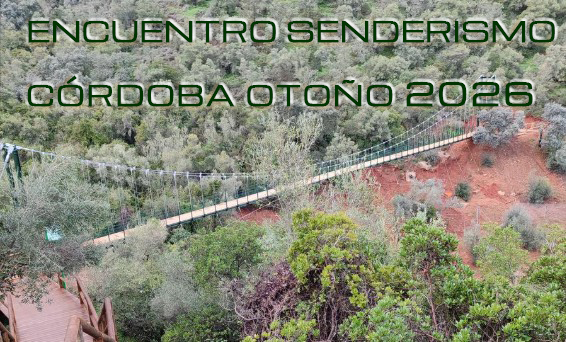Pasarela de madera en el cinturón verde