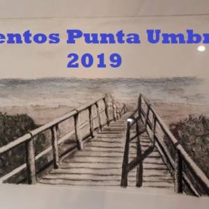 Bases Certamen 2019